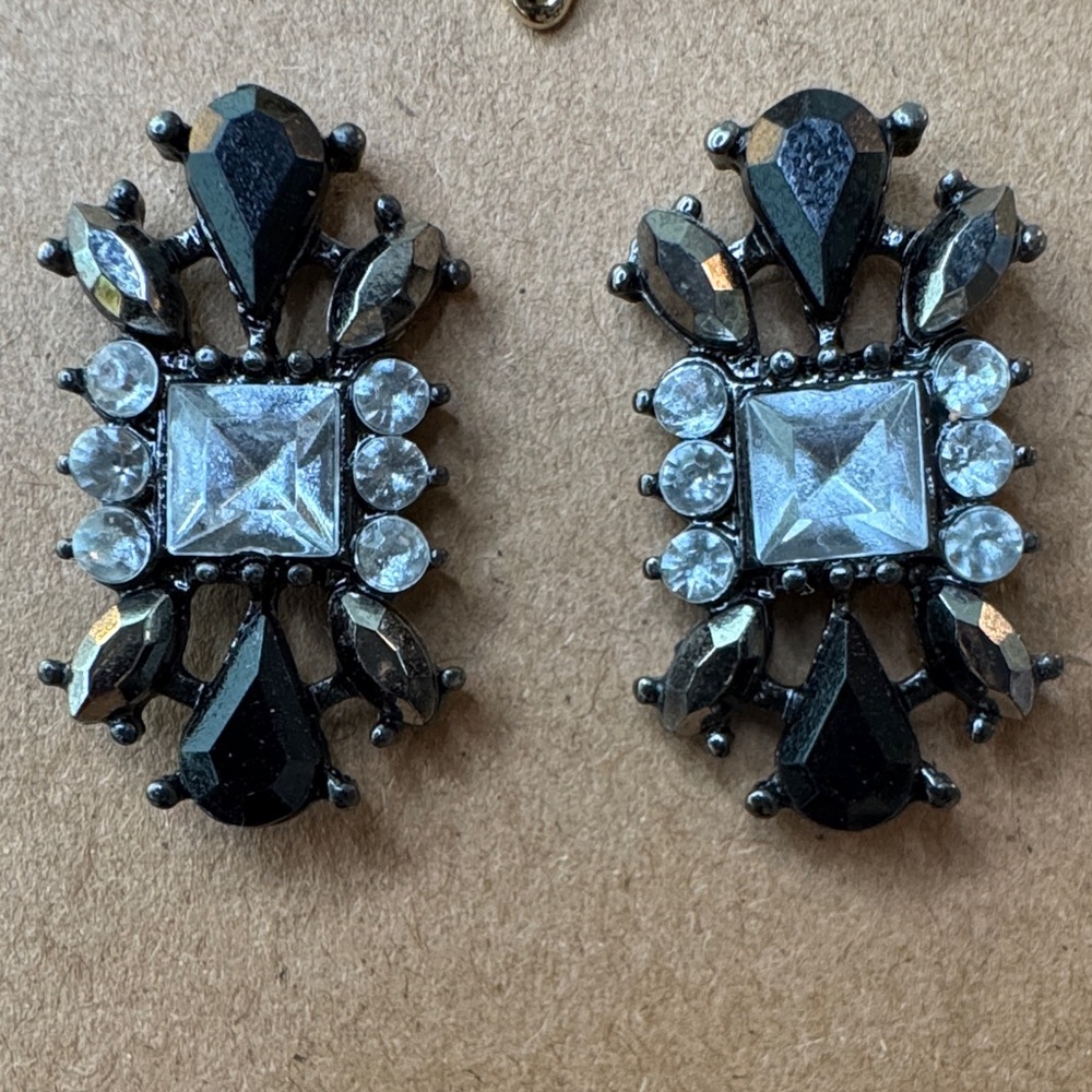 Elegant Black and Silver Earrings